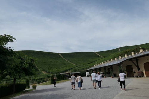 20170807第二個Barbarace酒莊 (38).jpg - 2017醉飲法義