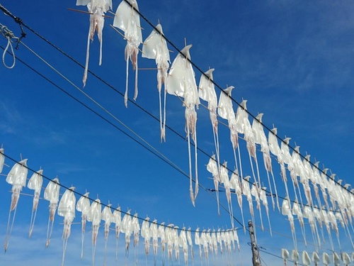 20160705 1-26 (28).jpg - 2016慢遊九州