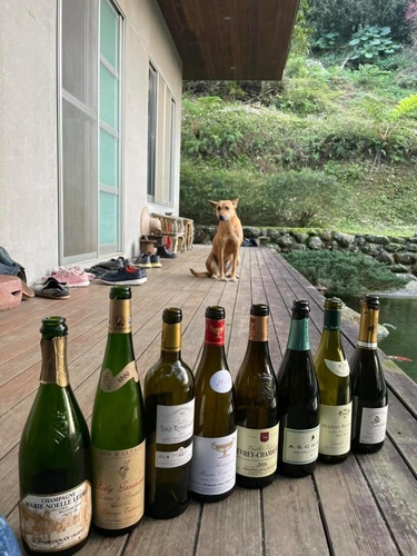 20210130 (3).jpg - 2021品酒誌