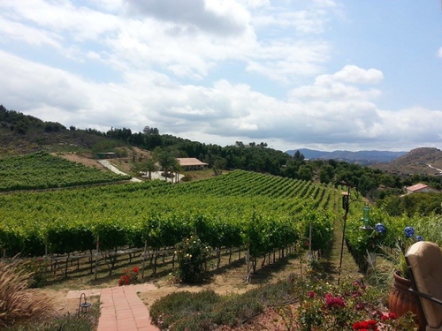 201605150207.jpg - 2016年品酒誌