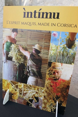 20170706永久花工廠 (15).jpg - 2017醉飲法義