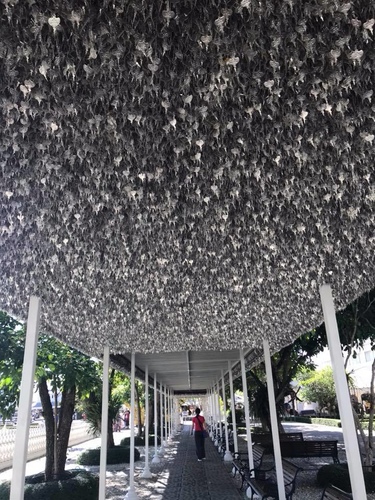 20180705-1 (12).jpg - 2018泰北放暑假