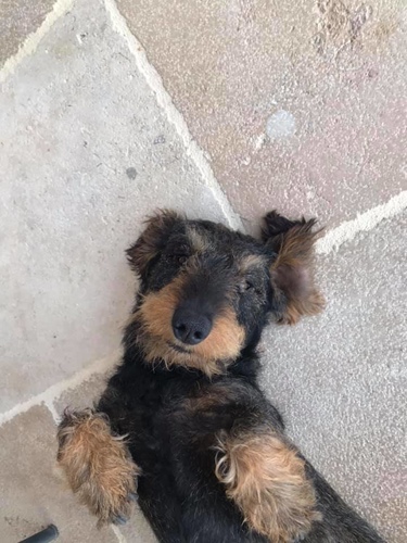 20190723布根地民宿 (3).jpg - 2019醉飲法奧瑞