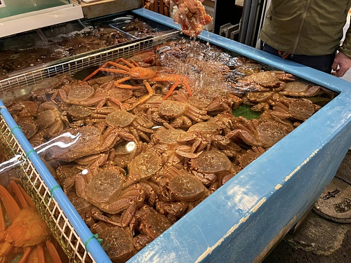 2023 北海道 22 (3).jpg - 2023日本旅遊