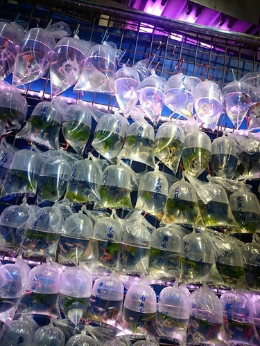 20160130香港DAY2 (51).jpg - 2016年品酒誌