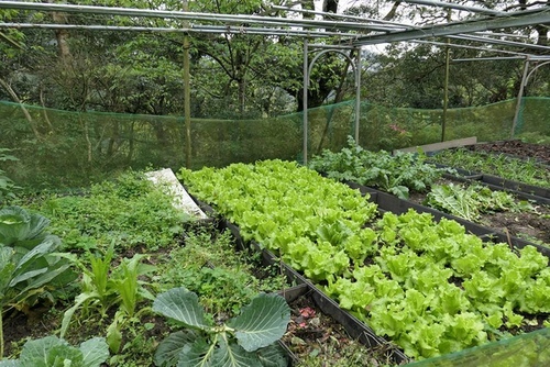 20170311獅頭山林品酒 (17).jpg - 2017年品酒誌