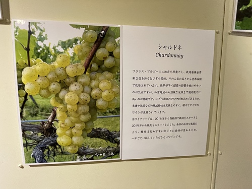 2023北海道20 (29).jpg - 2023日本旅遊