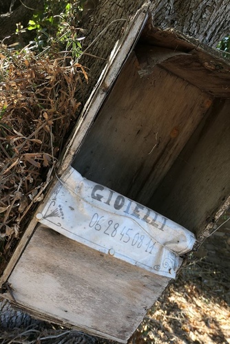20170705雷神索爾酒莊 (42).jpg - 2017醉飲法義