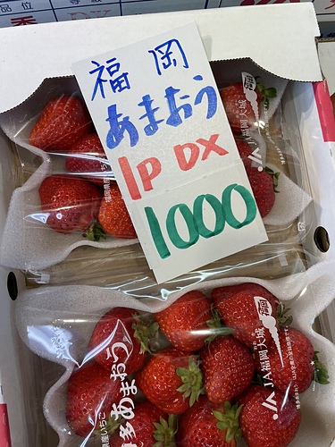 2023 北海道 22 (16).jpg - 2023日本旅遊