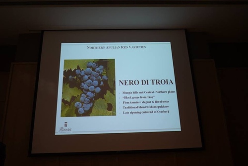 20151128 酒神南義 (12).jpg - 2015年品酒誌