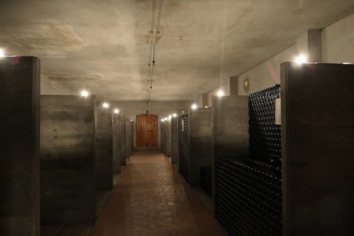 20170807第二個Barbarace酒莊 (9).jpg - 2017醉飲法義