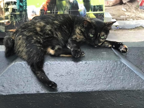 1090122VCR (6).jpg - 2020-01單飛吉隆坡