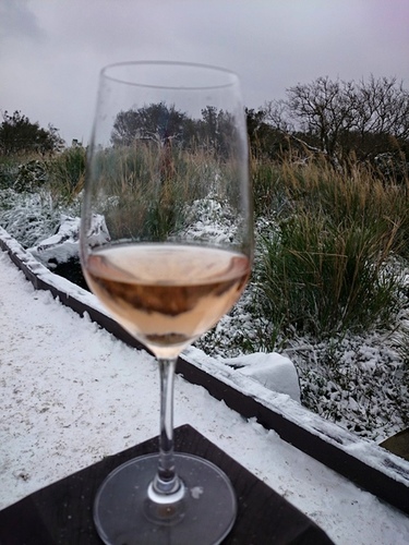 20150124雪中品飲普羅旺斯粉紅 (21).jpg - 2016年品酒誌