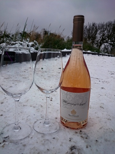 20150124雪中品飲普羅旺斯粉紅 (5).jpg - 2016年品酒誌