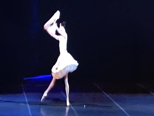 20190912芭蕾講堂2古典 (47).jpg - 2019年品酒誌