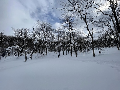 2023北海道 12 (15).jpg - 2023日本旅遊