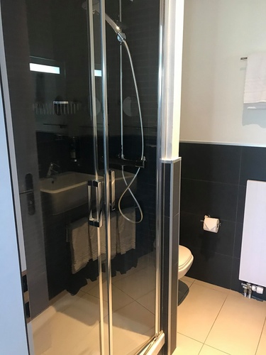 20190722瑞士湖濱旅館 (18).jpg - 2019醉飲法奧瑞