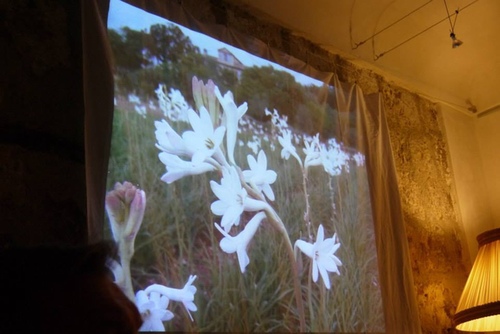 38.Grasseu62dcu8a2au8abfu9999u5e2b19.jpg - u9189u98f2u5357u6cd5