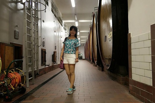 20170709 BAROLO酒莊 (16).jpg - 2017醉飲法義