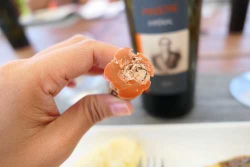 20170703阿爸凸起 (14).jpg - 2017醉飲法義