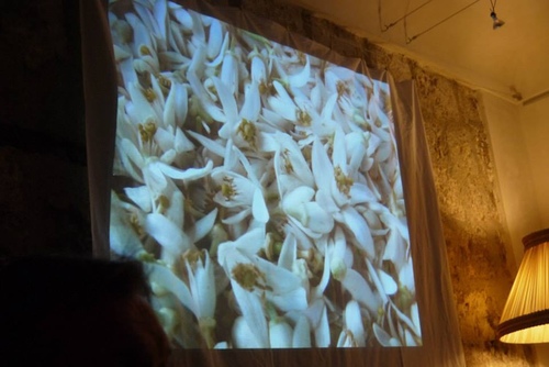 38.Grasseu62dcu8a2au8abfu9999u5e2b12.jpg - u9189u98f2u5357u6cd5