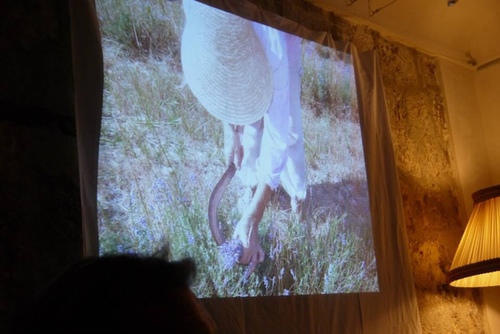 38.Grasseu62dcu8a2au8abfu9999u5e2b10.jpg - u9189u98f2u5357u6cd5