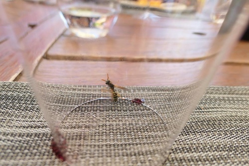 20170703阿爸凸起 (38).jpg - 2017醉飲法義