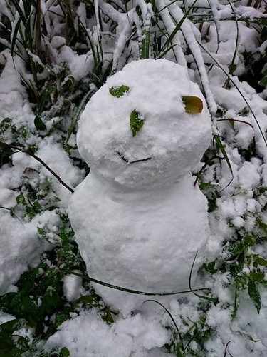 20150124雪中品飲普羅旺斯粉紅 (9).jpg - 2016年品酒誌