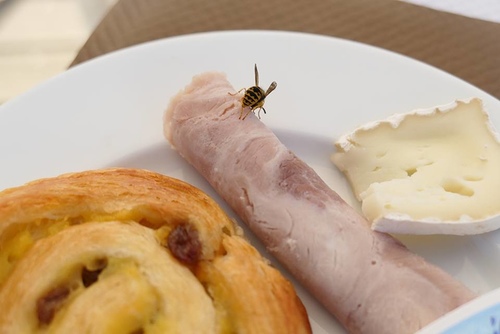 20170703無所事事 (6).jpg - 2017醉飲法義