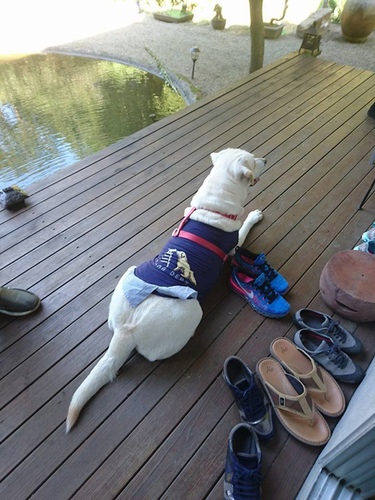 20161218秘境品酒 (8).jpg - 2016年品酒誌