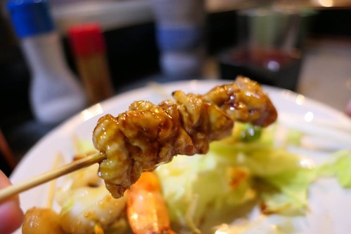 20170120野球鳥 (33).jpg - 2017北九州溫泉