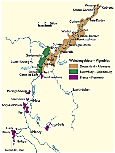 20210402 (10).jpg - 2021品酒誌