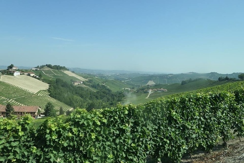 20170707LOCANDA民宿 (11).jpg - 2017醉飲法義