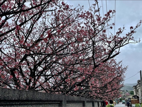 20220124 (19).jpg - 2022品酒誌