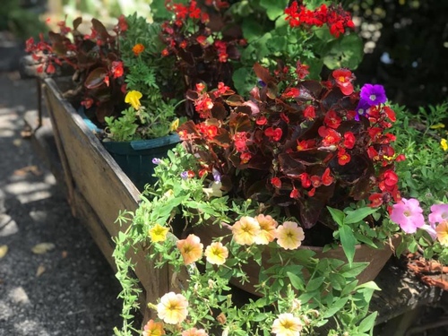 20190724李察吉爾酒莊 (12).jpg - 2019醉飲法奧瑞