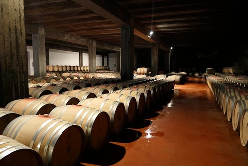 20170807第二個Barbarace酒莊 (3).jpg - 2017醉飲法義