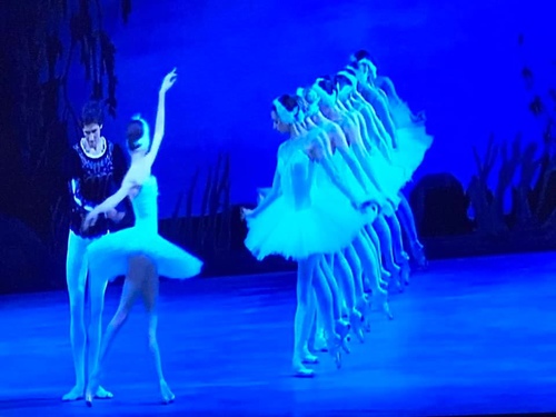 20190912芭蕾講堂2古典 (38).jpg - 2019年品酒誌