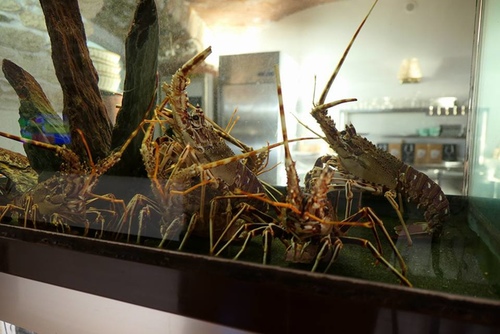 20170705海鮮大餐 (9).jpg - 2017醉飲法義