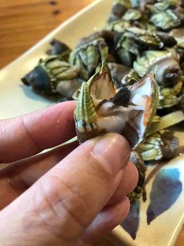 20200720蝦寮食堂 (11).jpg - 2020-7卡蹓馬祖