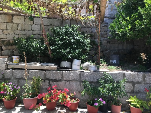 20200722幸福海岸 (12).jpg - 2020-7卡蹓馬祖