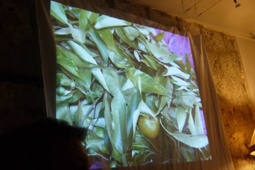 38.Grasseu62dcu8a2au8abfu9999u5e2b11.jpg - u9189u98f2u5357u6cd5