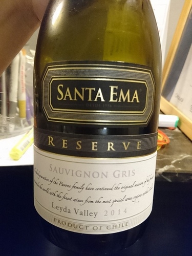 20160326梧桐沙龍智利品酒會 (3).jpg - 2016年品酒誌