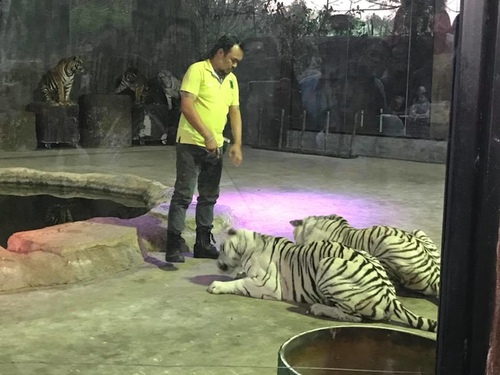 0207-6 (8).jpg - 2018清邁食旅記