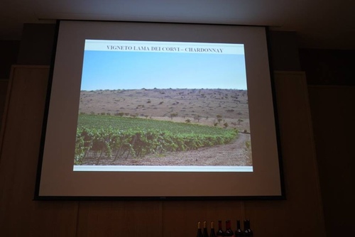 20151128 酒神南義 (23).jpg - 2015年品酒誌