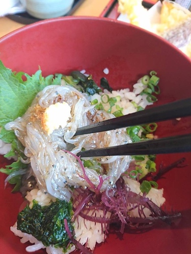 20160502鎌倉美食 (38).jpg - 2016年品酒誌