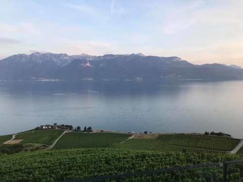 20190721 日內瓦葡萄園 (13).jpg - 2019醉飲法奧瑞