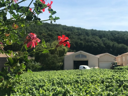 20190722Fuisse一星晚餐 (29).jpg - 2019醉飲法奧瑞