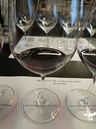 20160326梧桐沙龍智利品酒會 (16).jpg - 2016年品酒誌