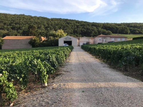 20190722Fuisse第一個酒莊 (29).jpg - 2019醉飲法奧瑞