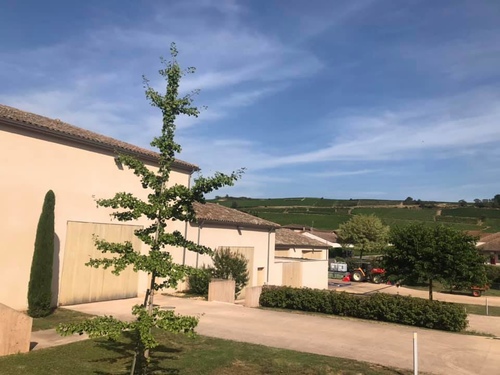 20190722Fuisse第一個酒莊 (26).jpg - 2019醉飲法奧瑞